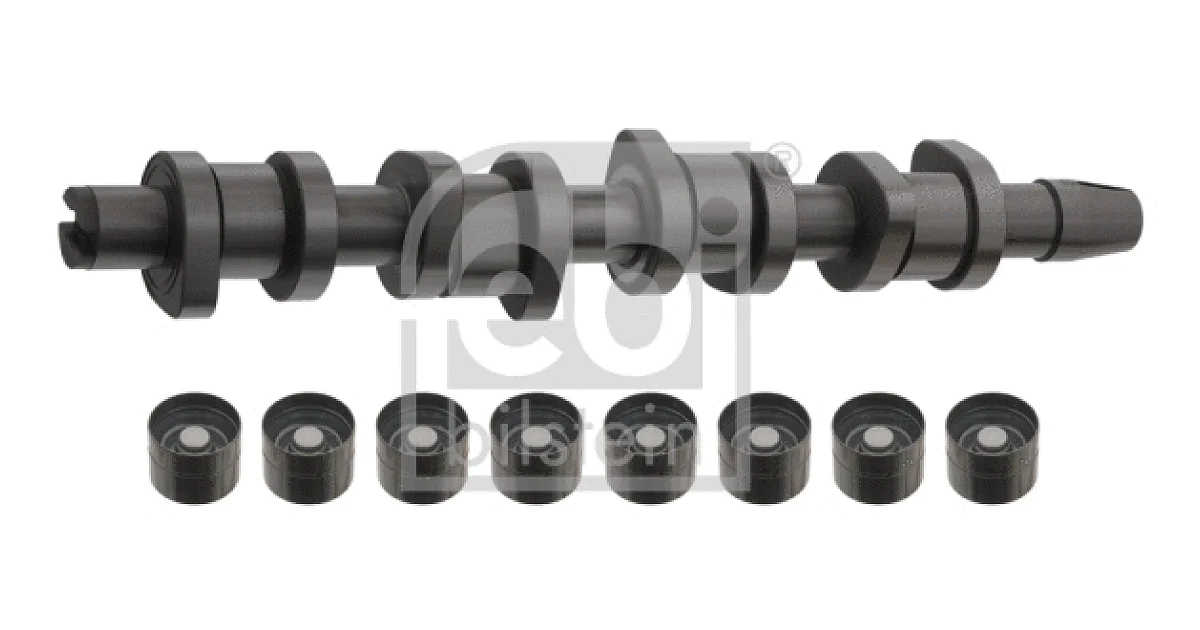FEBI BILSTEIN 33195, Комплект распредвала
