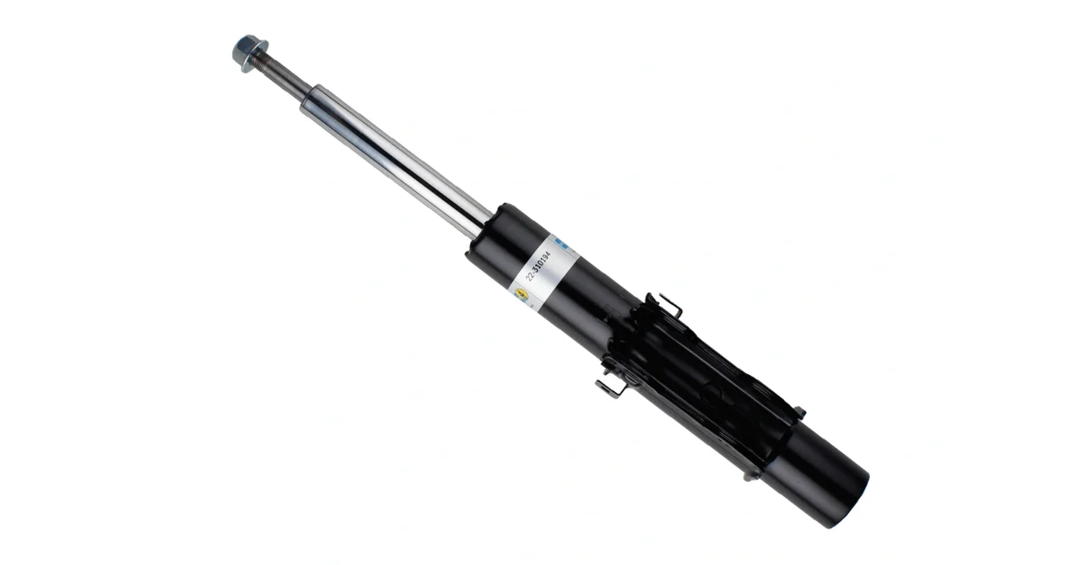 22310194 - BILSTEIN - Амортизатор