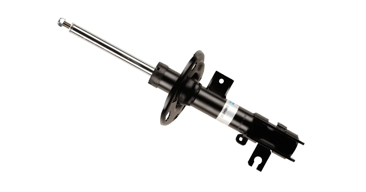 22243003 - BILSTEIN - Амортизатор