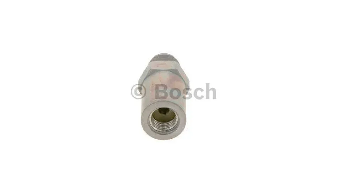 1110010029 - BOSCH - Клапан ограничения давления, Common-Rail-System