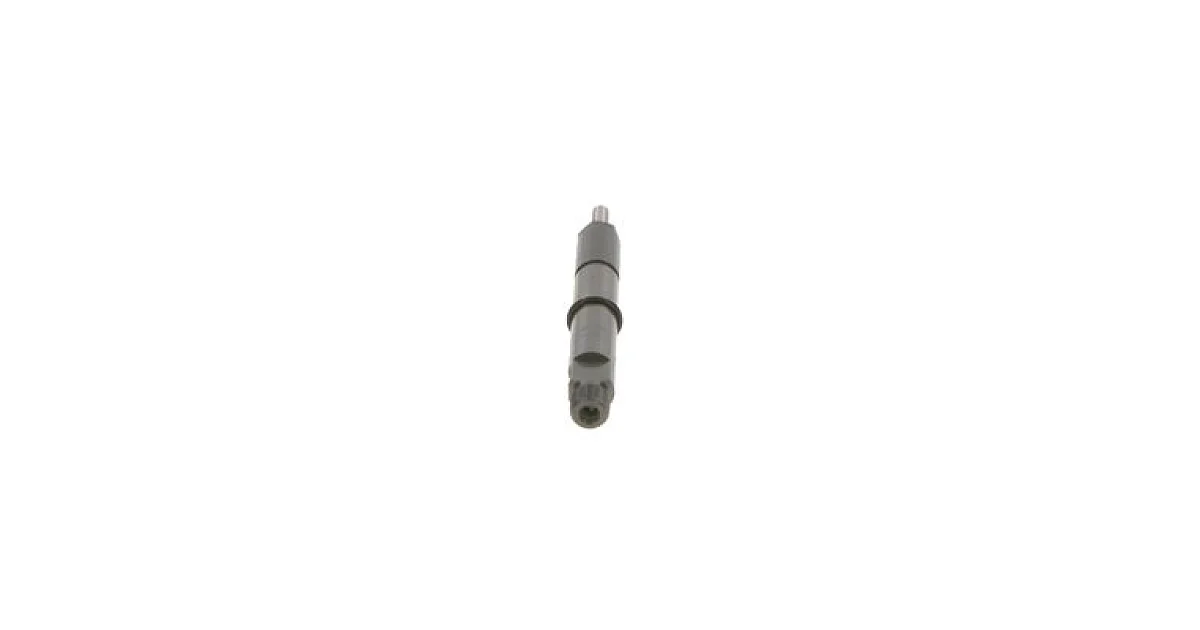 0432193486 - BOSCH - Распылитель