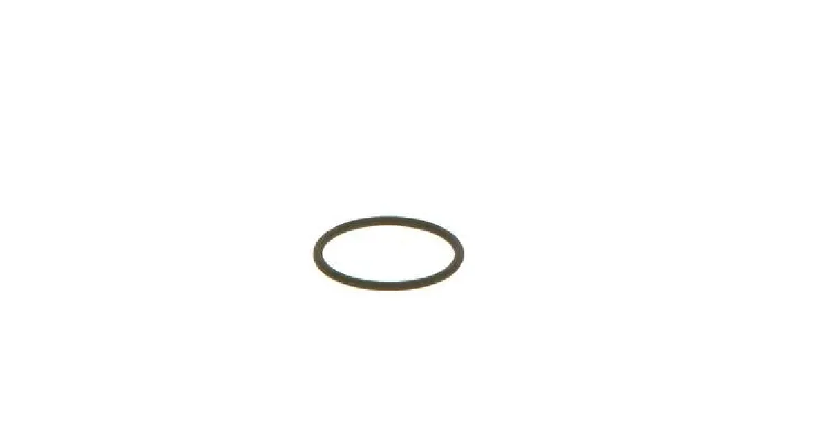 F00VC38002 - BOSCH - Уплотнительное кольцо