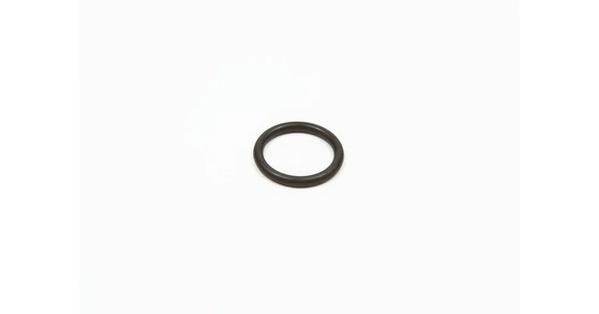 F00RJ01482 - BOSCH - Резиновое кольцо