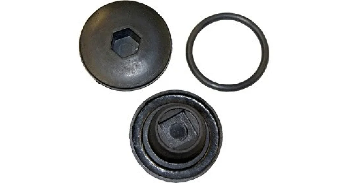 VAN WEZEL - 99002522 - Резьбовая пробка