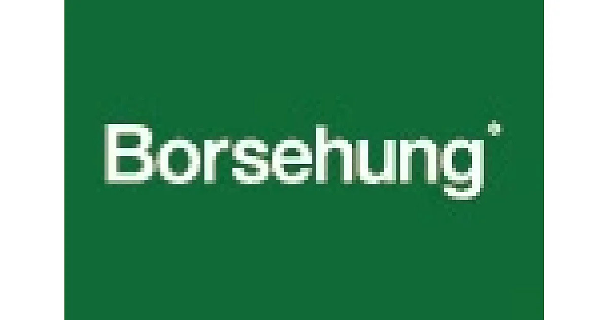 B19249 - BORSEHUNG - Прокладка, масляный радиатор