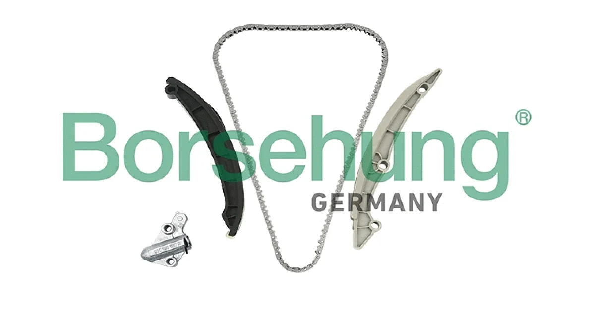 BORSEHUNG B18982, Комплект цели привода распредвала
