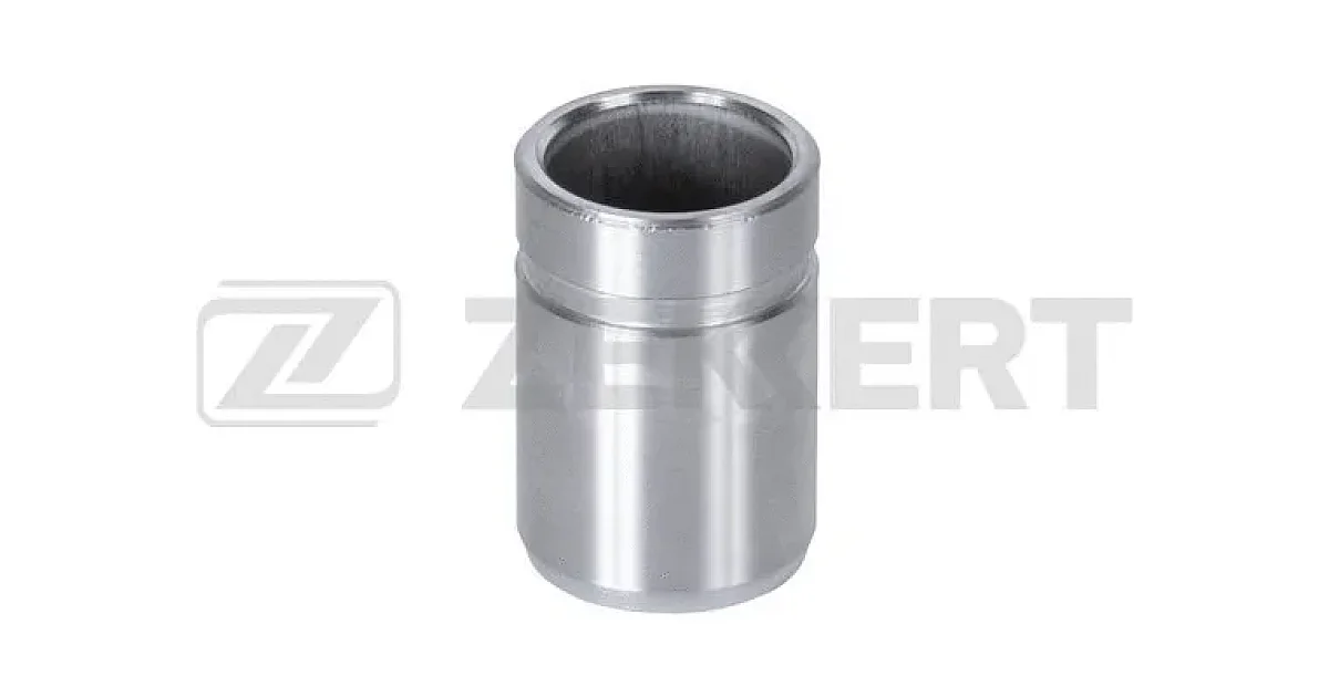 BR1523 - ZEKKERT - Поршень, корпус скобы тормоза