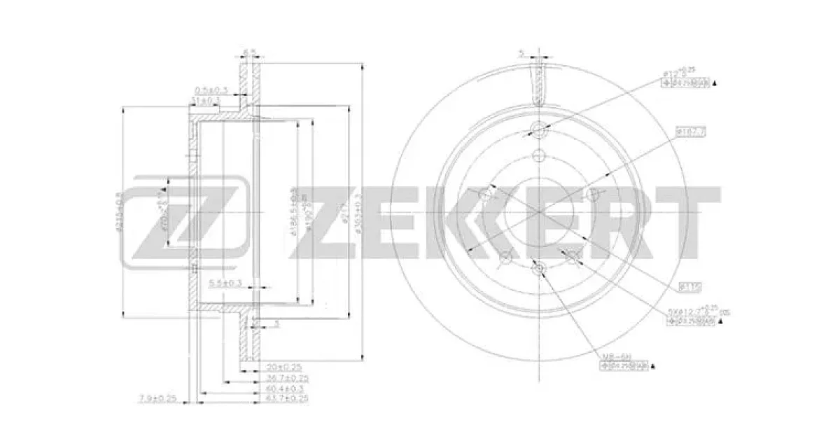 BS5269 - ZEKKERT - Тормозной диск