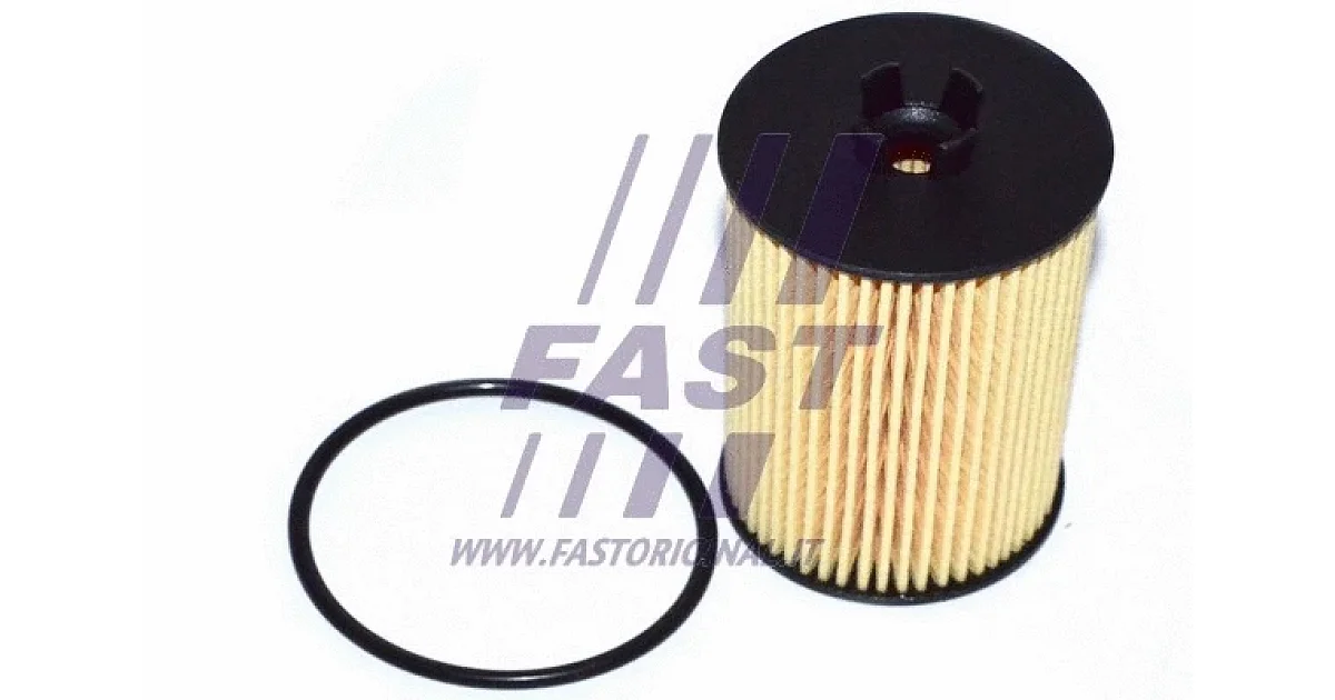 FAST FT38066, Масляный фильтр