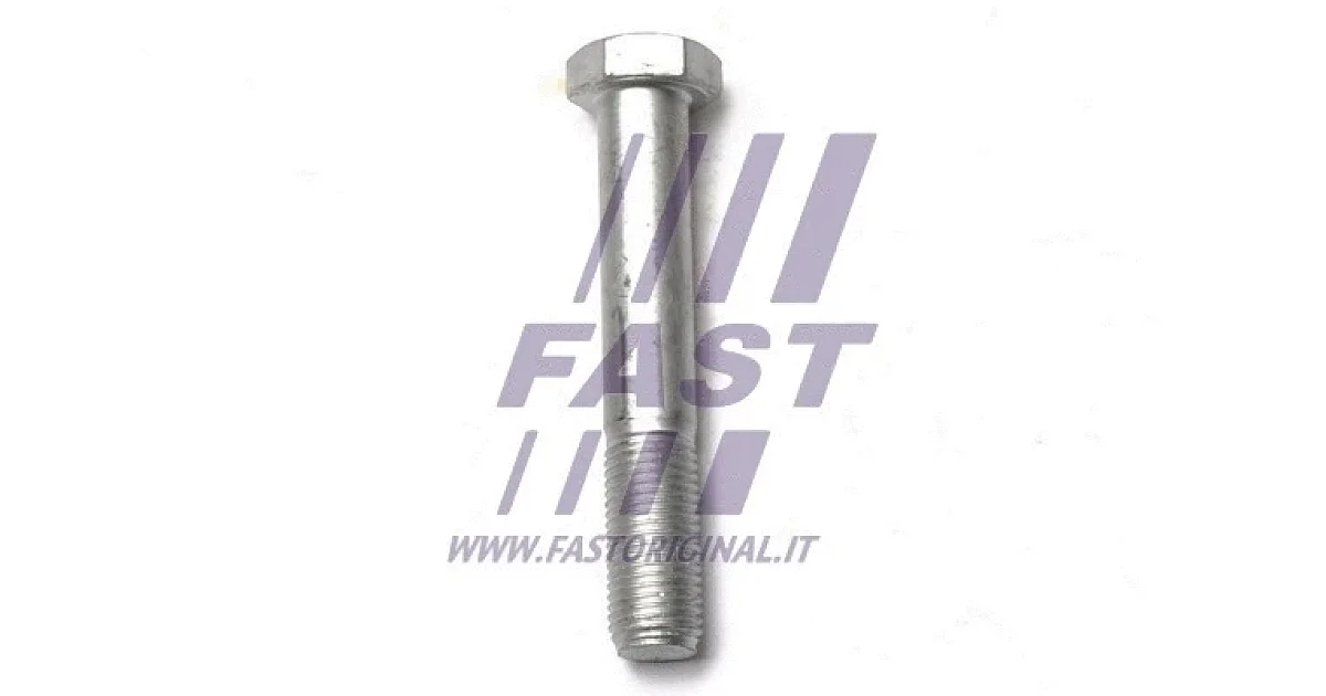 FAST FT13349, Подвеска, листовая рессора