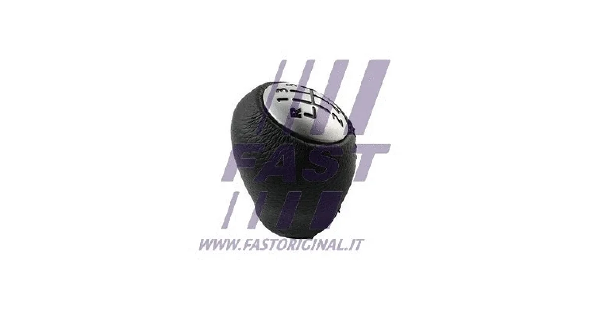 FAST FT09038, Ручка рычага переключения передач