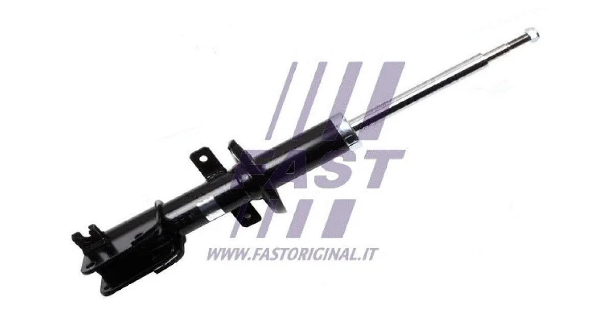 FAST FT11713, Амортизатор