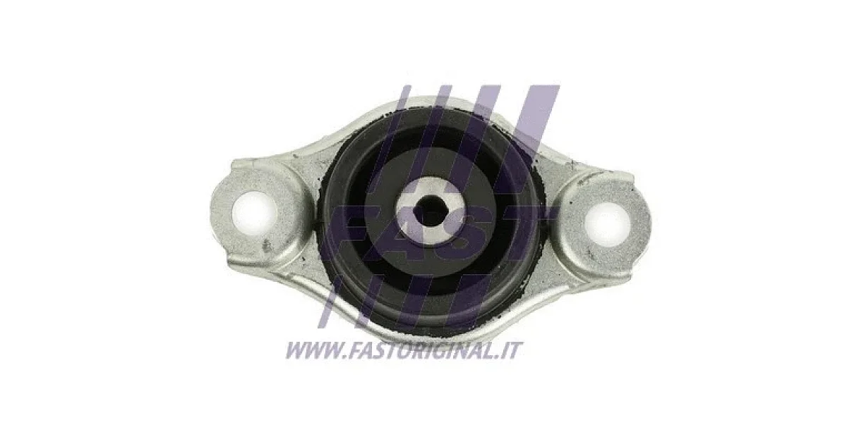 FAST FT52529, Подвеска, двигатель