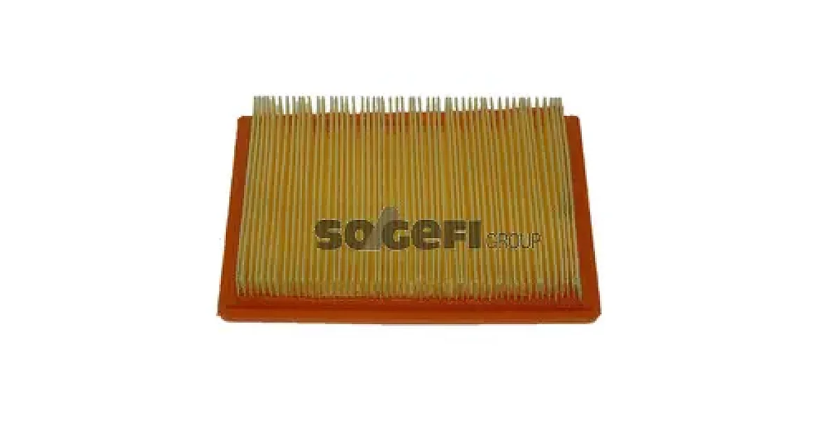 CA5619 - FRAM - Воздушный фильтр