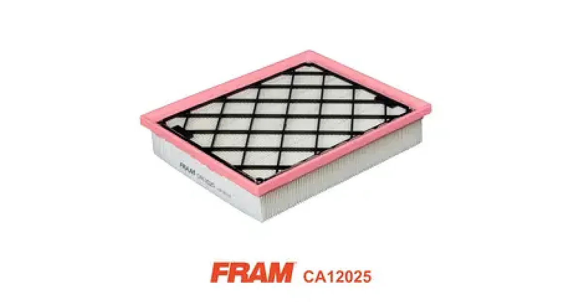 FRAM CA12025, Воздушный фильтр