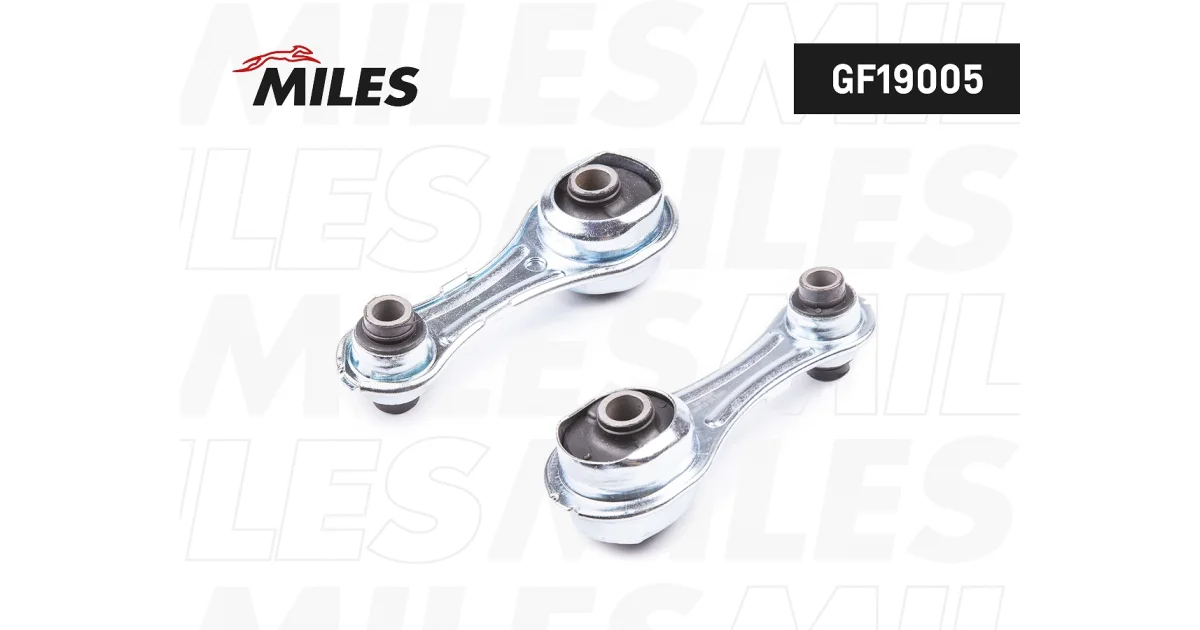 GF19005 - MILES - Подвеска, двигатель