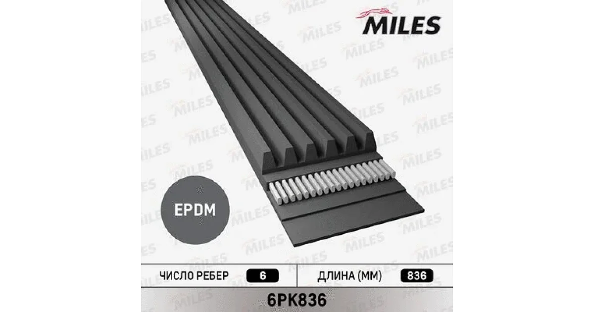 6PK836 - MILES - Поликлиновой ремень
