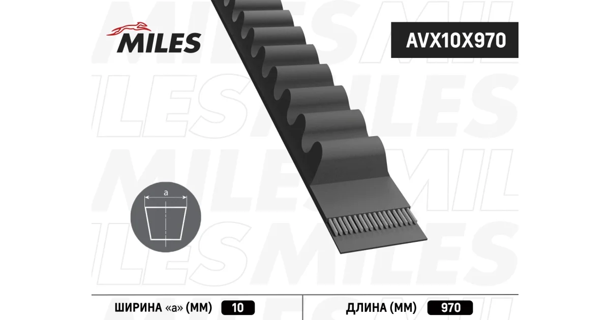 AVX10X970 - MILES - Клиновой ремень